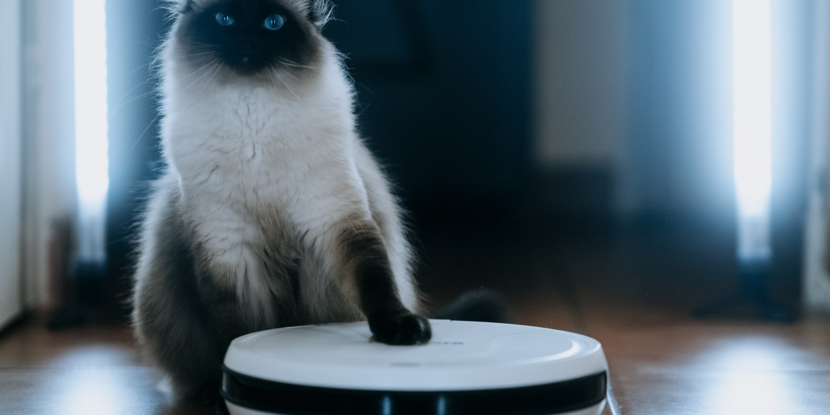 10 Life Lessons That We Can Learn From The Best Robot Vacuum Cleaner