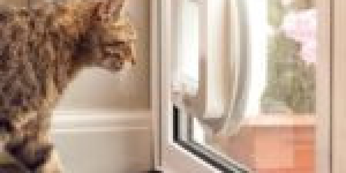 Why Cat Door Fitting Service Is The Right Choice For You?