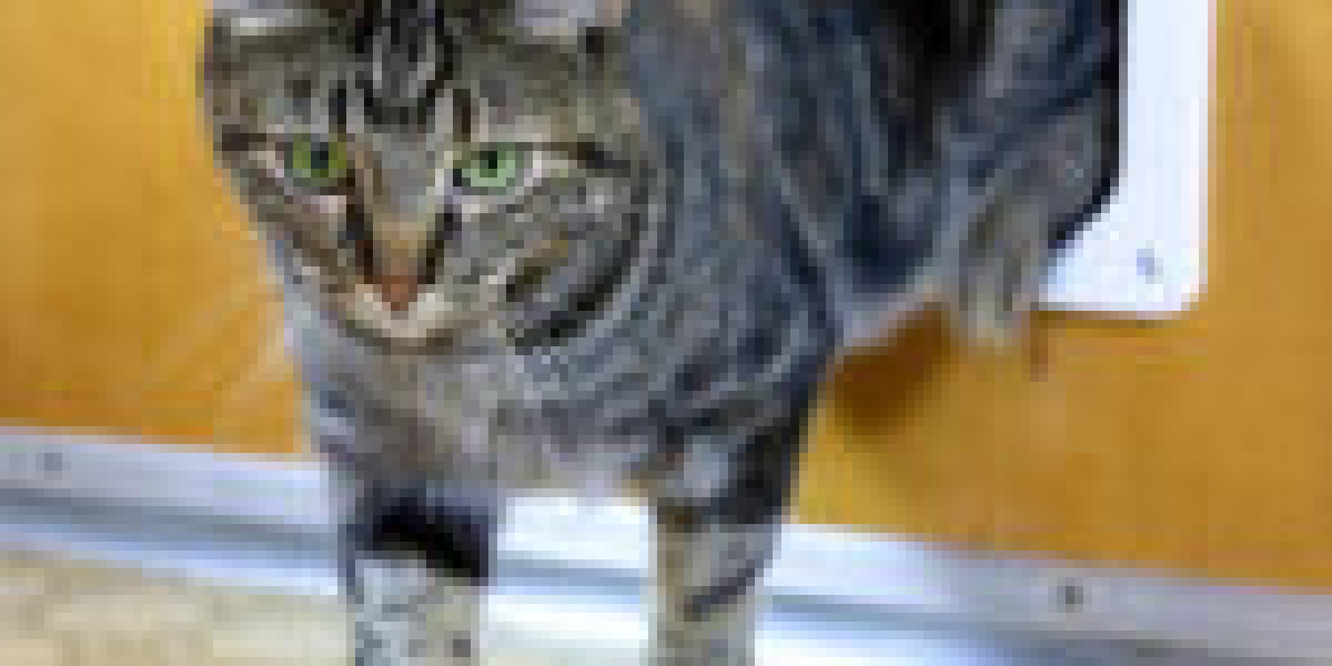9 . What Your Parents Teach You About Quick Cat Flap Installation